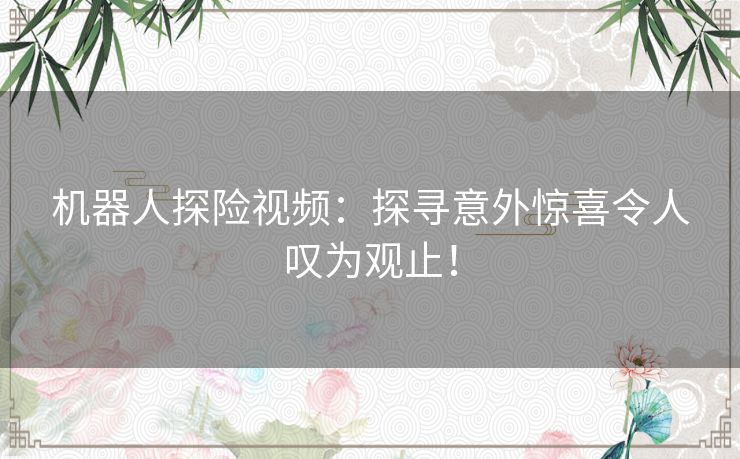 机器人探险视频：探寻意外惊喜令人叹为观止！