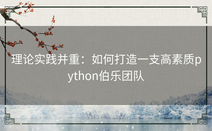 理论实践并重：如何打造一支高素质python伯乐团队