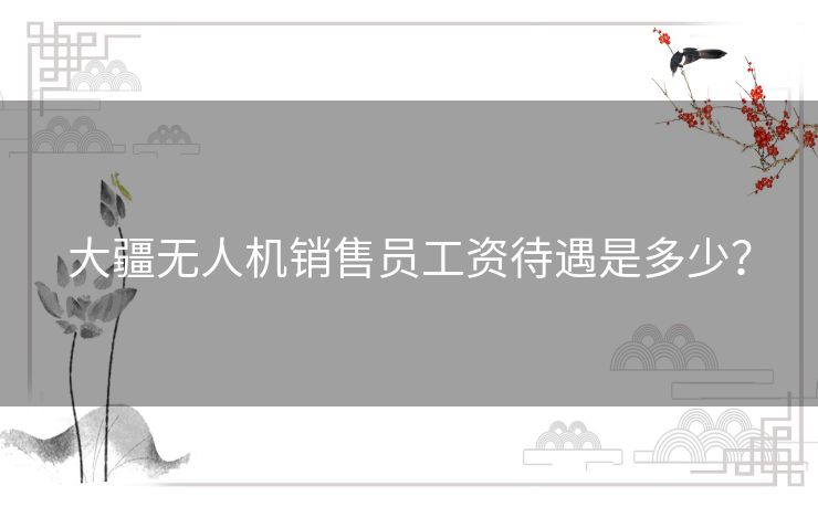 大疆无人机销售员工资待遇是多少？