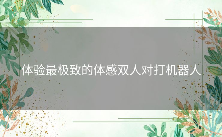 体验最极致的体感双人对打机器人