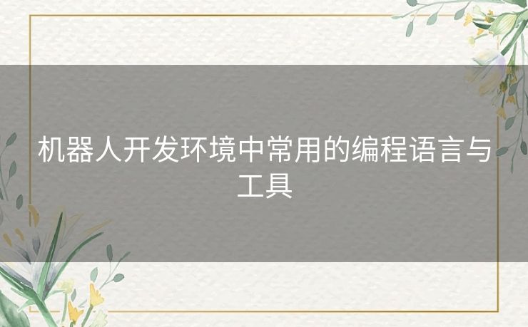机器人开发环境中常用的编程语言与工具
