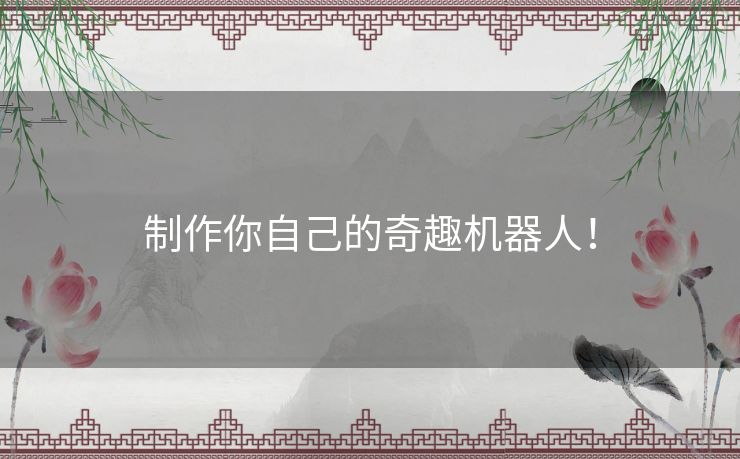 制作你自己的奇趣机器人！