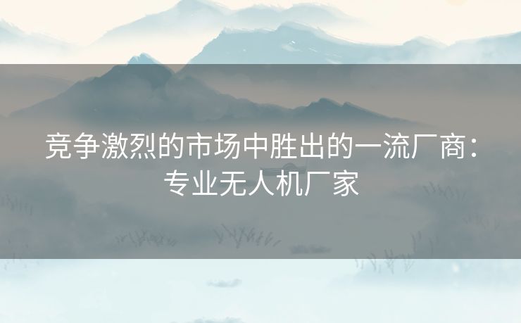 竞争激烈的市场中胜出的一流厂商：专业无人机厂家