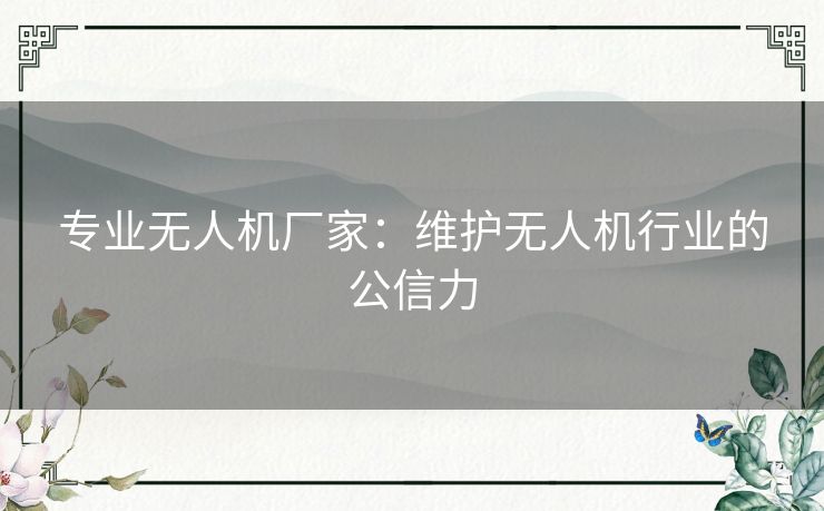 专业无人机厂家：维护无人机行业的公信力