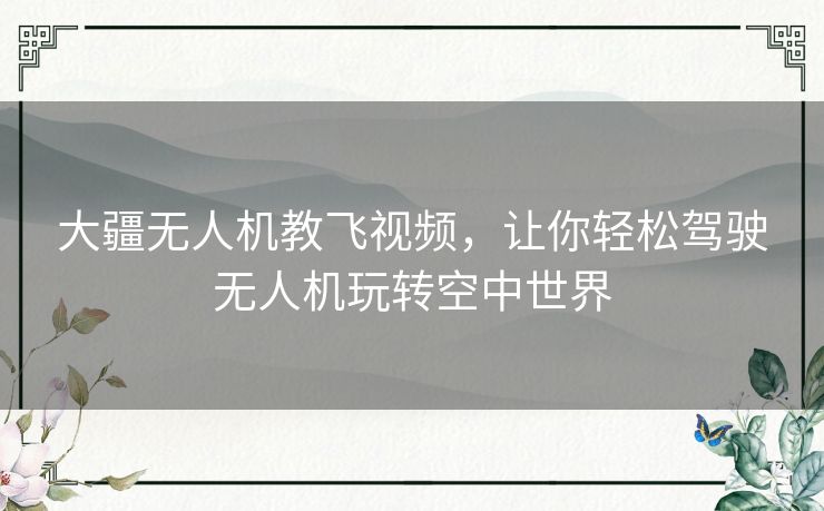 大疆无人机教飞视频，让你轻松驾驶无人机玩转空中世界