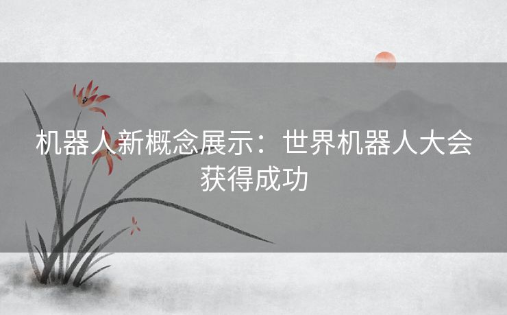 机器人新概念展示：世界机器人大会获得成功