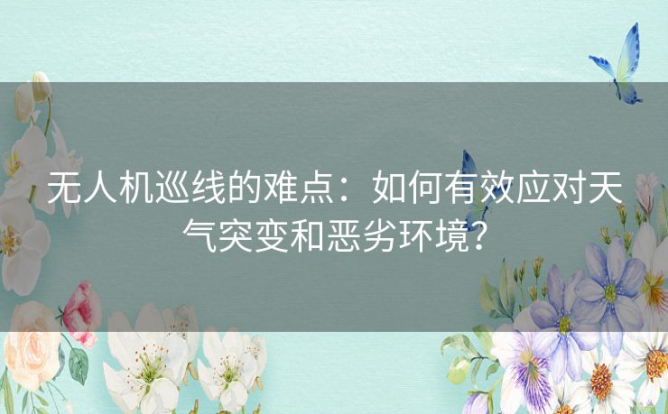 无人机巡线的难点：如何有效应对天气突变和恶劣环境？