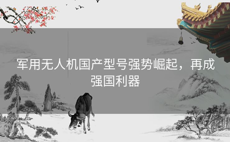 军用无人机国产型号强势崛起，再成强国利器