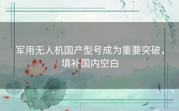 军用无人机国产型号成为重要突破，填补国内空白