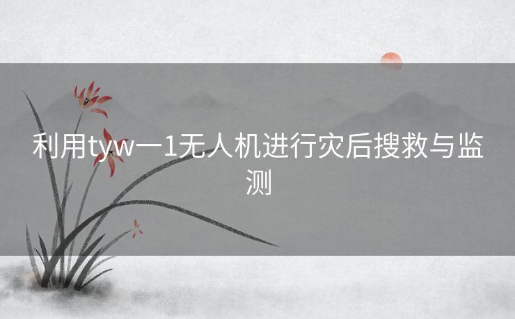 利用tyw一1无人机进行灾后搜救与监测