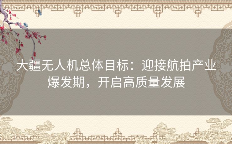 大疆无人机总体目标：迎接航拍产业爆发期，开启高质量发展