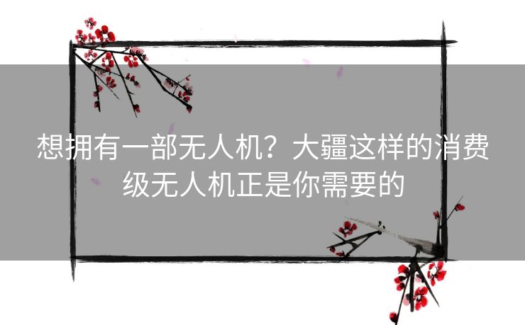 想拥有一部无人机？大疆这样的消费级无人机正是你需要的