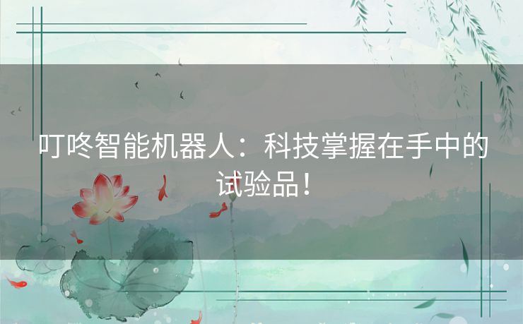 叮咚智能机器人：科技掌握在手中的试验品！