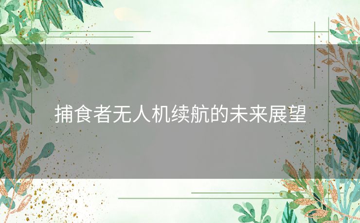 捕食者无人机续航的未来展望