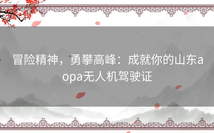 冒险精神，勇攀高峰：成就你的山东aopa无人机驾驶证