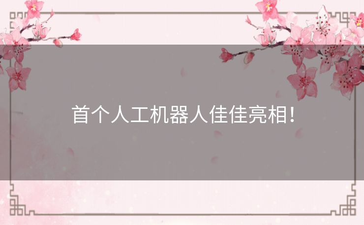 首个人工机器人佳佳亮相！