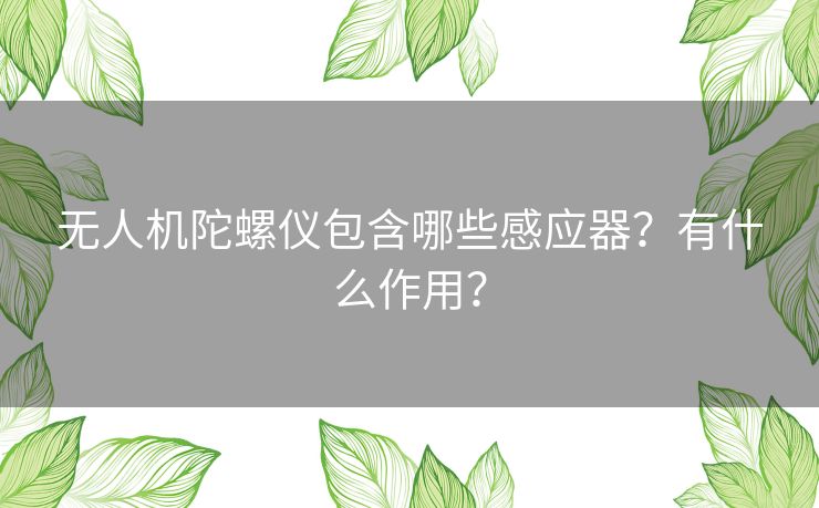 无人机陀螺仪包含哪些感应器？有什么作用？