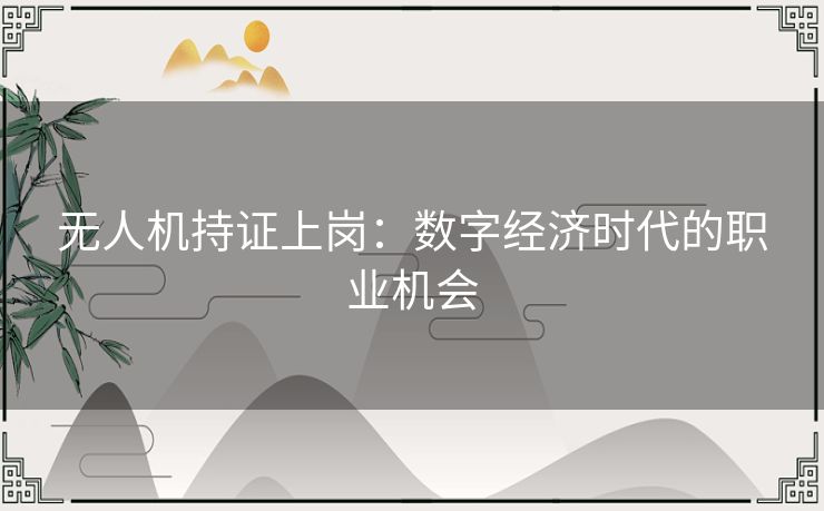 无人机持证上岗：数字经济时代的职业机会