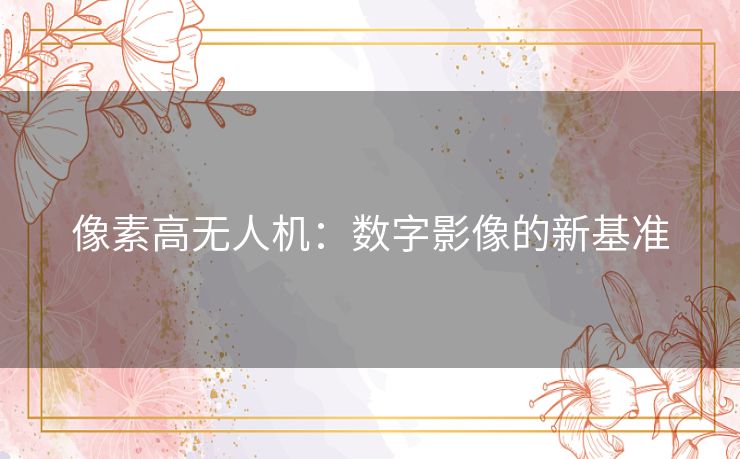 像素高无人机：数字影像的新基准