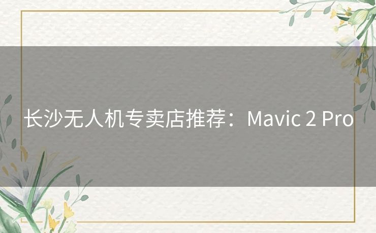 长沙无人机专卖店推荐：Mavic 2 Pro