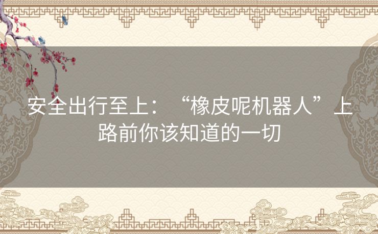安全出行至上：“橡皮呢机器人”上路前你该知道的一切