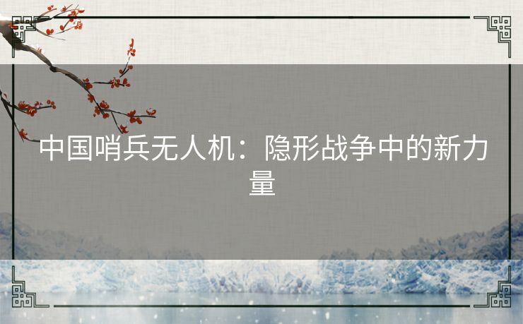 中国哨兵无人机：隐形战争中的新力量