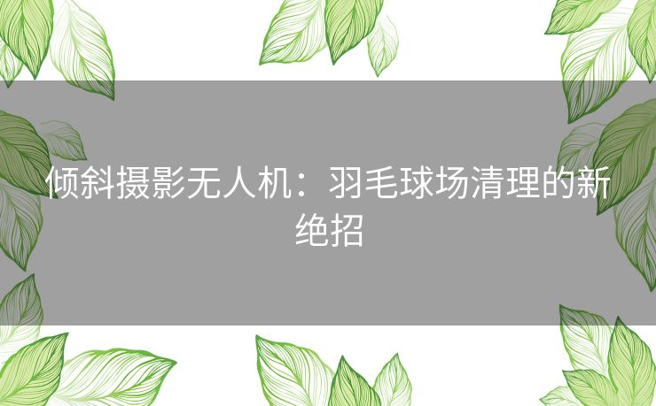 倾斜摄影无人机：羽毛球场清理的新绝招