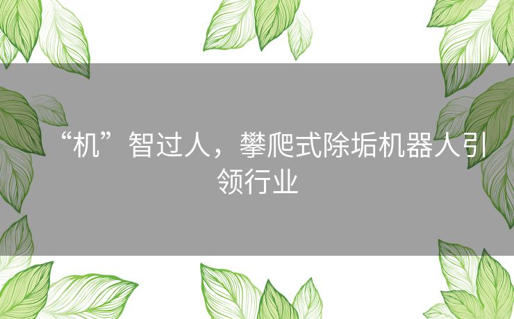 “机”智过人，攀爬式除垢机器人引领行业