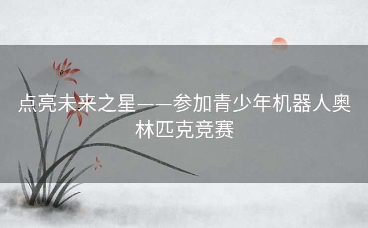 点亮未来之星——参加青少年机器人奥林匹克竞赛