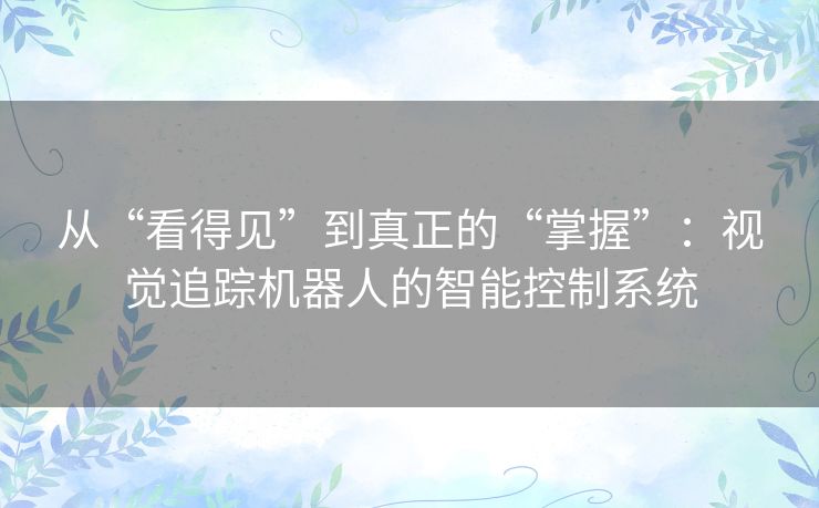 从“看得见”到真正的“掌握”：视觉追踪机器人的智能控制系统