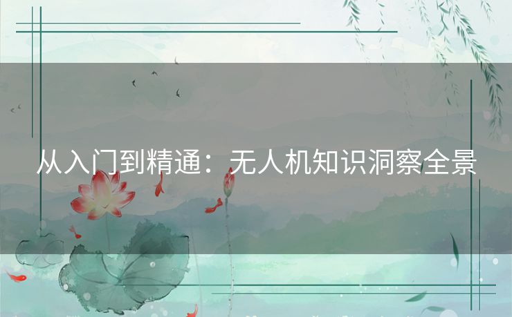 从入门到精通：无人机知识洞察全景