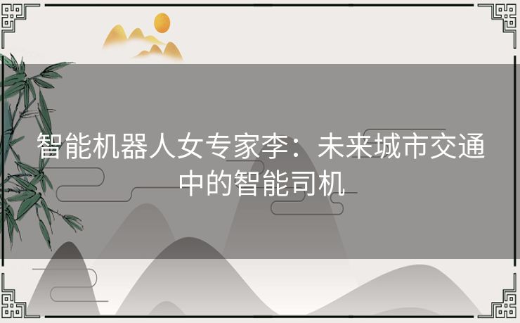 智能机器人女专家李：未来城市交通中的智能司机