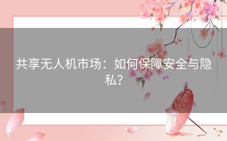 共享无人机市场：如何保障安全与隐私？
