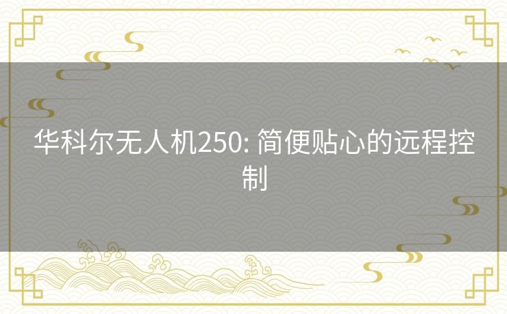 华科尔无人机250: 简便贴心的远程控制