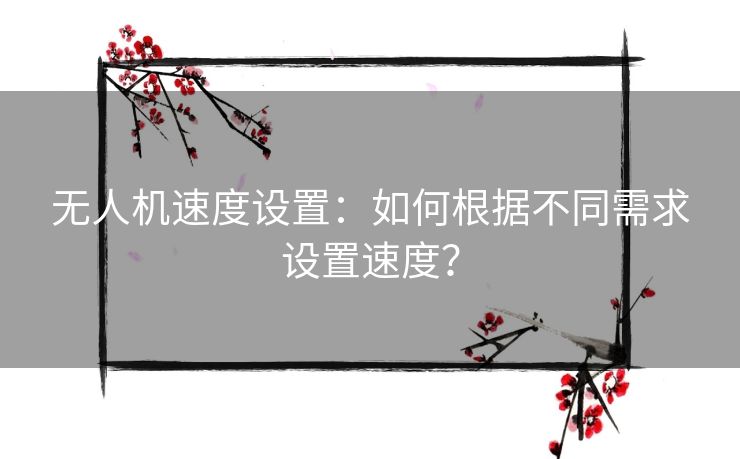 无人机速度设置：如何根据不同需求设置速度？
