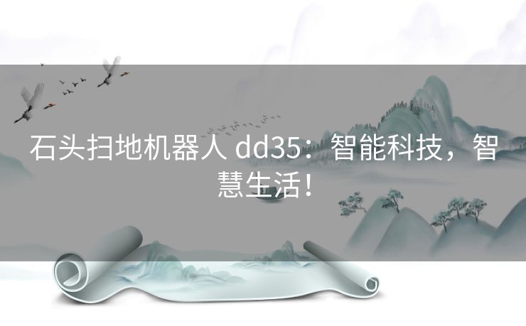 石头扫地机器人 dd35：智能科技，智慧生活！