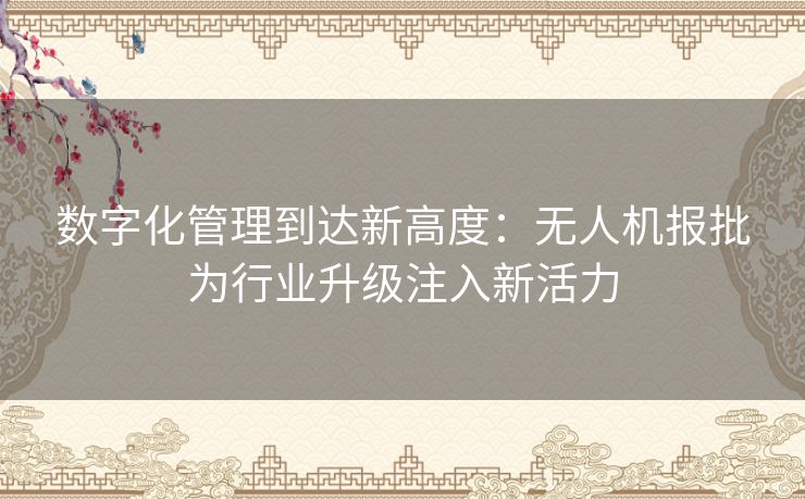 数字化管理到达新高度：无人机报批为行业升级注入新活力