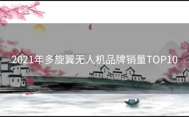 2021年多旋翼无人机品牌销量TOP10