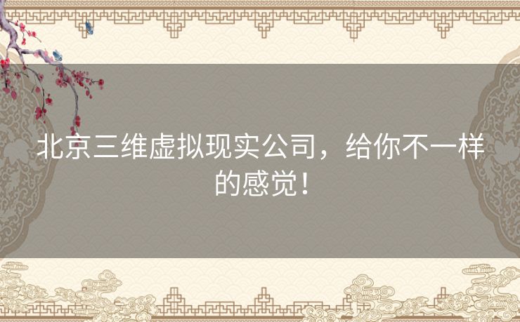 北京三维虚拟现实公司，给你不一样的感觉！