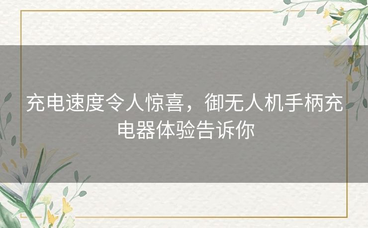 充电速度令人惊喜，御无人机手柄充电器体验告诉你
