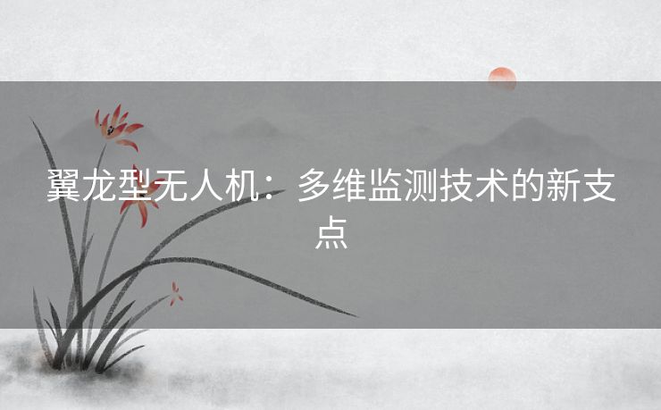翼龙型无人机：多维监测技术的新支点