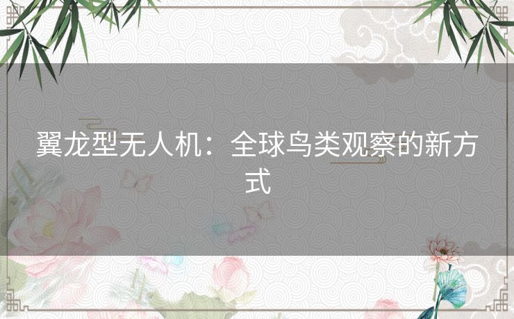 翼龙型无人机：全球鸟类观察的新方式