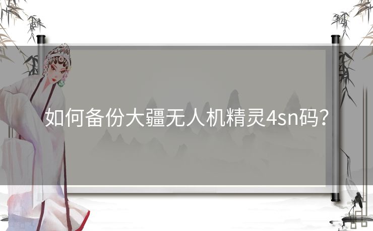 如何备份大疆无人机精灵4sn码？