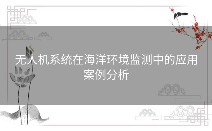 无人机系统在海洋环境监测中的应用案例分析