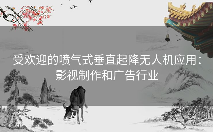 受欢迎的喷气式垂直起降无人机应用：影视制作和广告行业