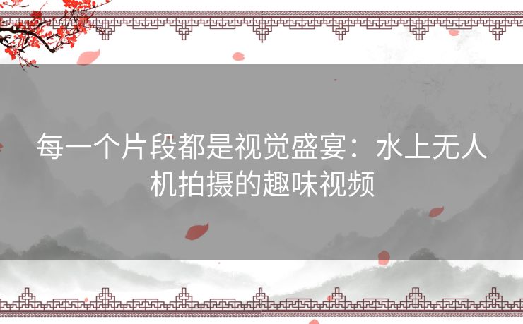 每一个片段都是视觉盛宴：水上无人机拍摄的趣味视频