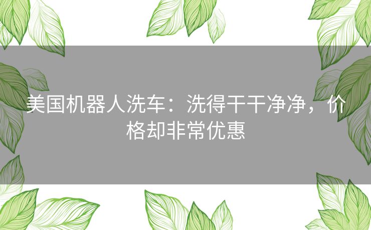美国机器人洗车：洗得干干净净，价格却非常优惠