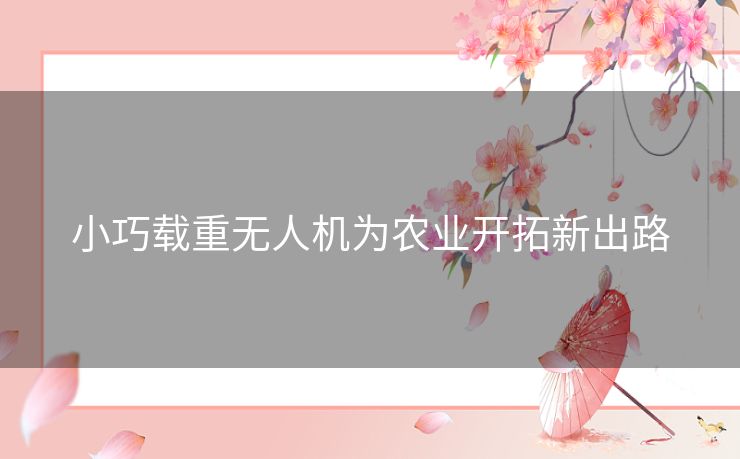 小巧载重无人机为农业开拓新出路