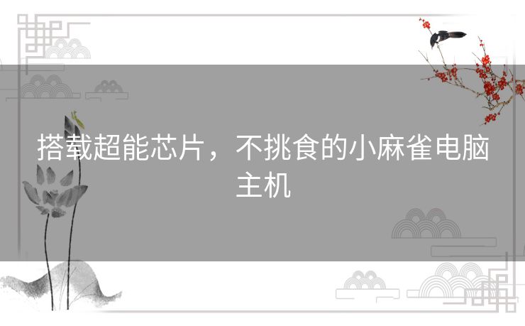 搭载超能芯片，不挑食的小麻雀电脑主机