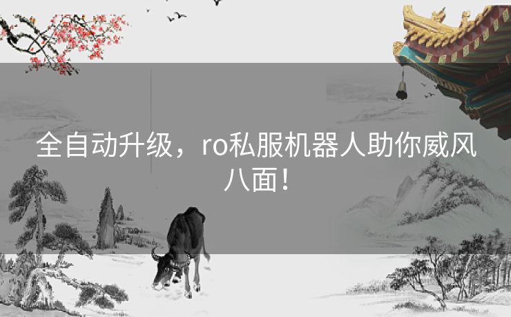 全自动升级，ro私服机器人助你威风八面！